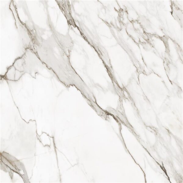 dlažba Paonazzo 120x120 Alaplana Ceramica